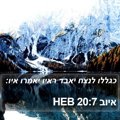 איוב 20:7 HEB Bible Verse Image