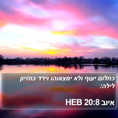 איוב 20:8 HEB Bible Verse Image