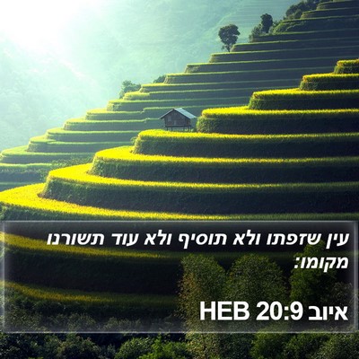 איוב 20:9 HEB Bible Verse Image