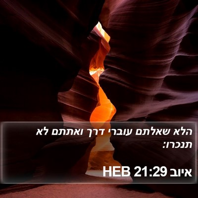 איוב 21:29 HEB Bible Verse Image