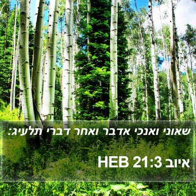 איוב 21:3 HEB Bible Verse Image