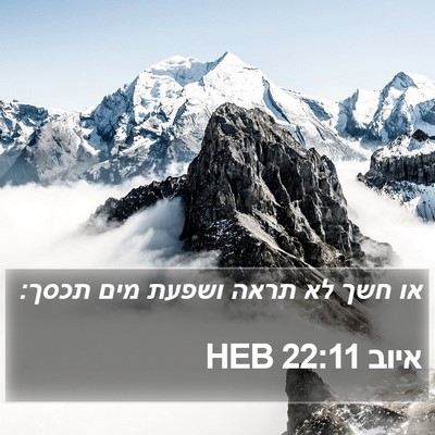 איוב 22:11 HEB Bible Verse Image