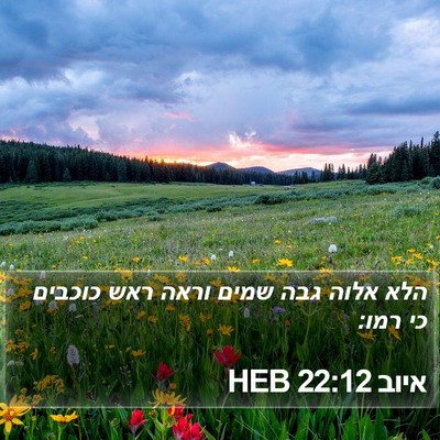 איוב 22:12 HEB Bible Verse Image