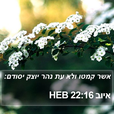 איוב 22:16 HEB Bible Verse Image