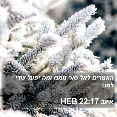 איוב 22:17 HEB Bible Verse Image