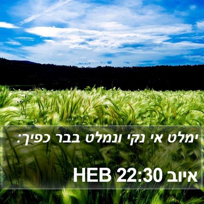 איוב 22:30 HEB Bible Verse Image
