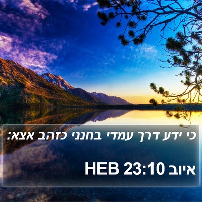 איוב 23:10 HEB Bible Verse Image