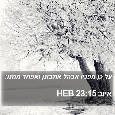 איוב 23:15 HEB Bible Verse Image