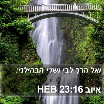 איוב 23:16 HEB Bible Verse Image