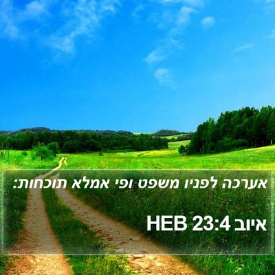 איוב 23:4 HEB Bible Verse Image