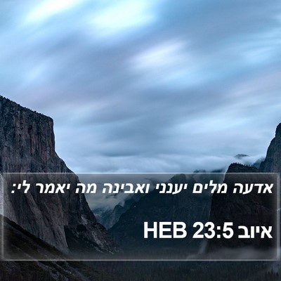 איוב 23:5 HEB Bible Verse Image