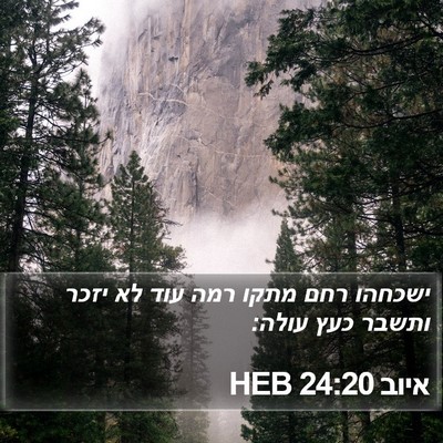 איוב 24:20 HEB Bible Verse Image