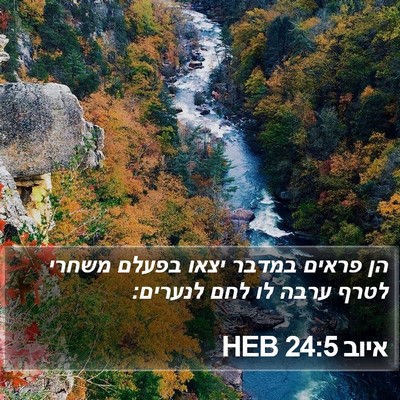 איוב 24:5 HEB Bible Verse Image