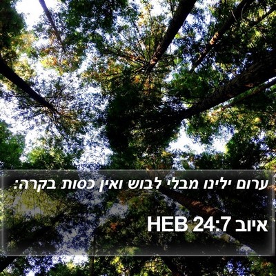 איוב 24:7 HEB Bible Verse Image