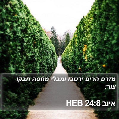 איוב 24:8 HEB Bible Verse Image