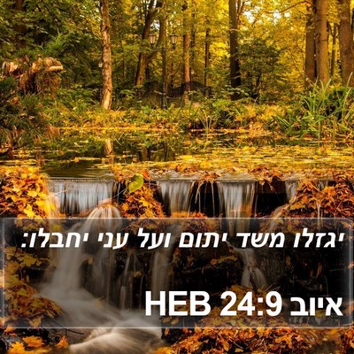איוב 24:9 HEB Bible Verse Image