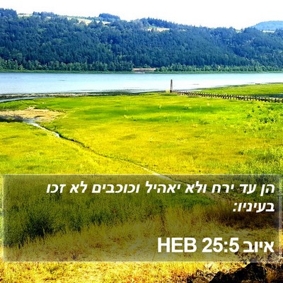 איוב 25:5 HEB Bible Verse Image