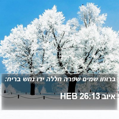 איוב 26:13 HEB Bible Verse Image