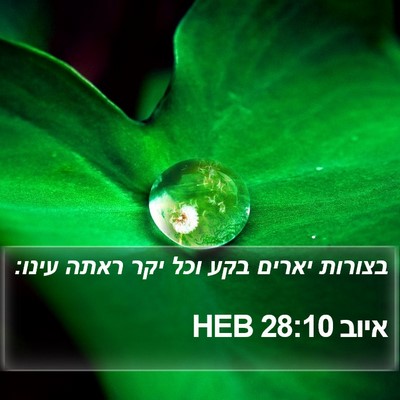 איוב 28:10 HEB Bible Verse Image