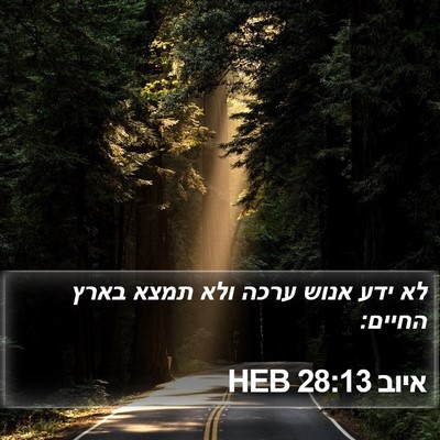 איוב 28:13 HEB Bible Verse Image