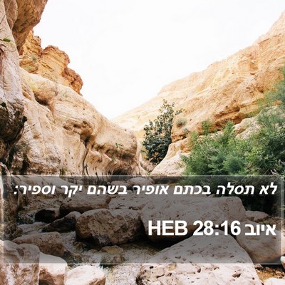 איוב 28:16 HEB Bible Verse Image