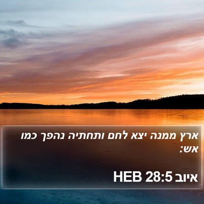 איוב 28:5 HEB Bible Verse Image