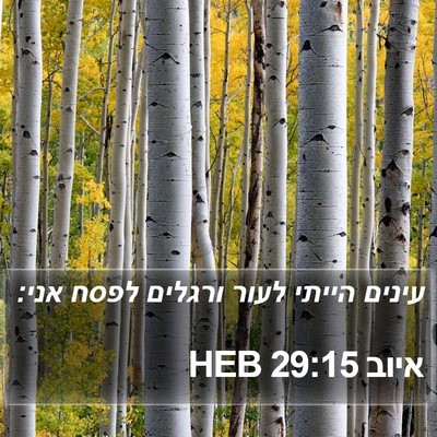 איוב 29:15 HEB Bible Verse Image