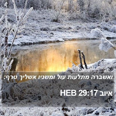 איוב 29:17 HEB Bible Verse Image