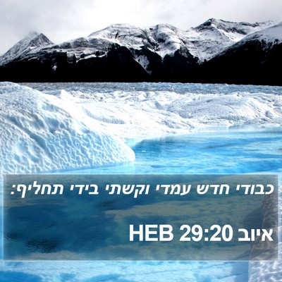 איוב 29:20 HEB Bible Verse Image
