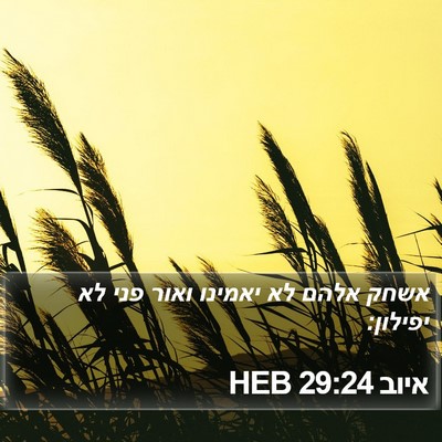 איוב 29:24 HEB Bible Verse Image
