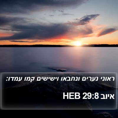 איוב 29:8 HEB Bible Verse Image