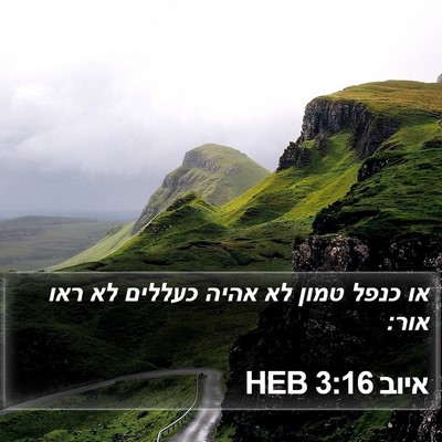 איוב 3:16 HEB Bible Verse Image