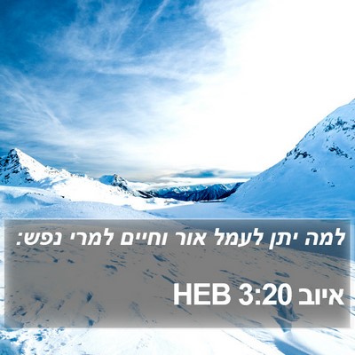 איוב 3:20 HEB Bible Verse Image
