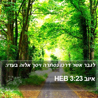 איוב 3:23 HEB Bible Verse Image