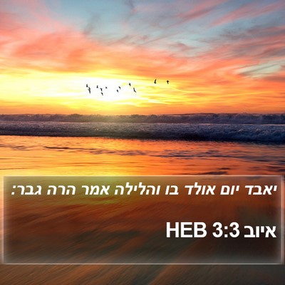 איוב 3:3 HEB Bible Verse Image