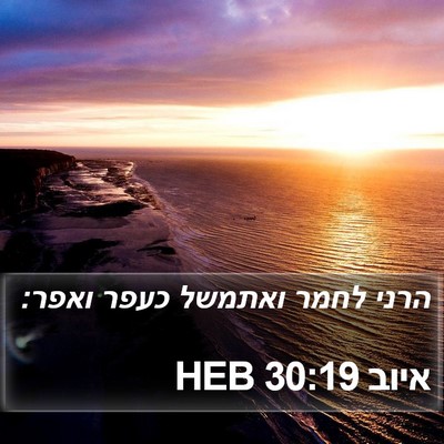 איוב 30:19 HEB Bible Verse Image