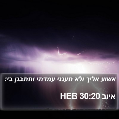 איוב 30:20 HEB Bible Verse Image