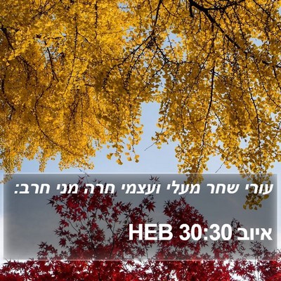 איוב 30:30 HEB Bible Verse Image