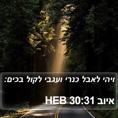 איוב 30:31 HEB Bible Verse Image