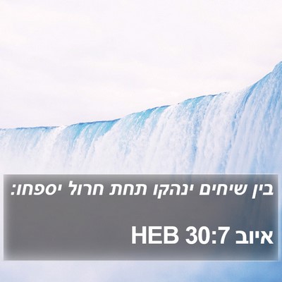 איוב 30:7 HEB Bible Verse Image