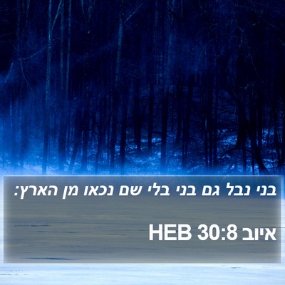 איוב 30:8 HEB Bible Verse Image