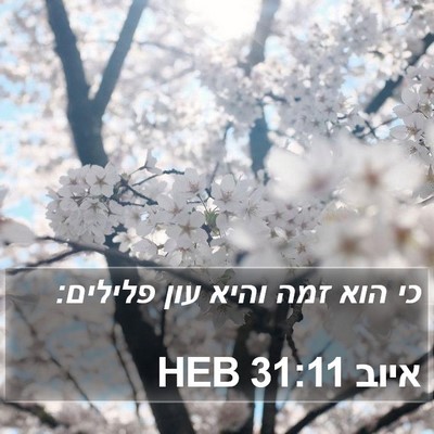 איוב 31:11 HEB Bible Verse Image