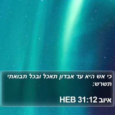 איוב 31:12 HEB Bible Verse Image