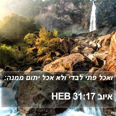 איוב 31:17 HEB Bible Verse Image