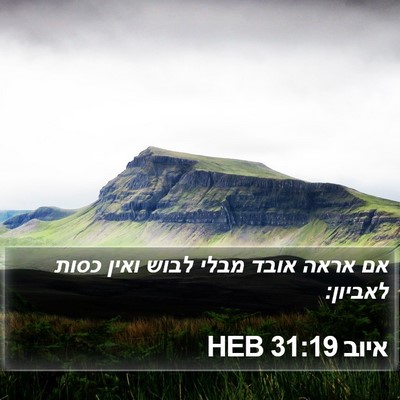 איוב 31:19 HEB Bible Verse Image