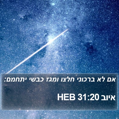 איוב 31:20 HEB Bible Verse Image