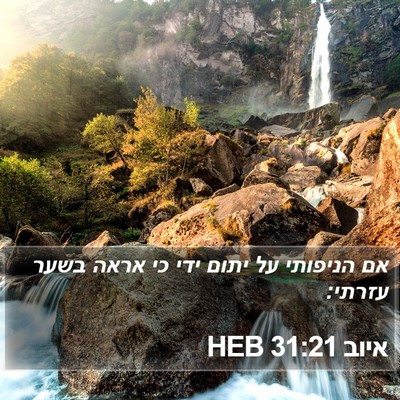 איוב 31:21 HEB Bible Verse Image