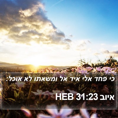 איוב 31:23 HEB Bible Verse Image