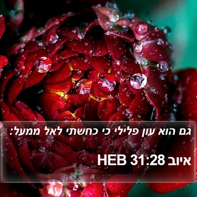 איוב 31:28 HEB Bible Verse Image