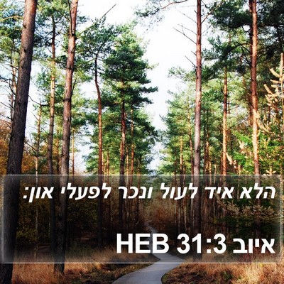 איוב 31:3 HEB Bible Verse Image